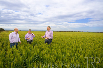 October 2022 / KANGAROO-FLAT-0964