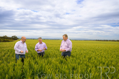 October 2022 / KANGAROO-FLAT-0965