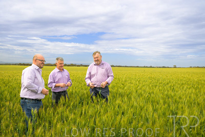 October 2022 / KANGAROO-FLAT-0967