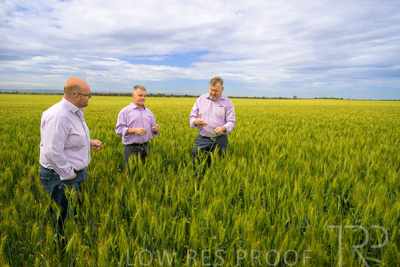 October 2022 / KANGAROO-FLAT-0968