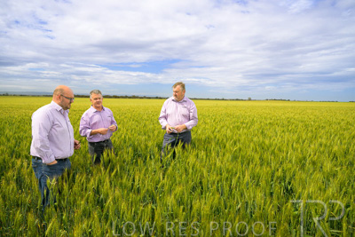 October 2022 / KANGAROO-FLAT-0969