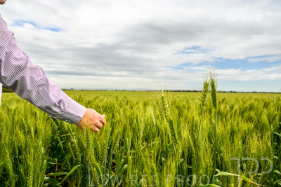 October 2022 / KANGAROO-FLAT-1005