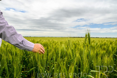 October 2022 / KANGAROO-FLAT-1007