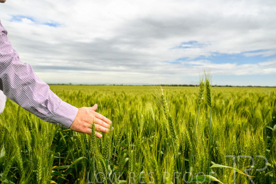 October 2022 / KANGAROO-FLAT-1008