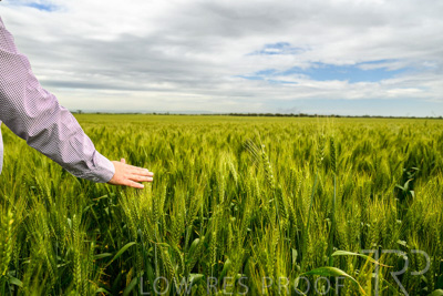 October 2022 / KANGAROO-FLAT-1011