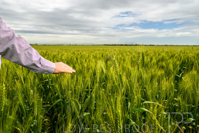 October 2022 / KANGAROO-FLAT-1012