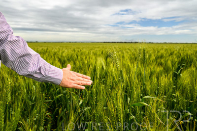 October 2022 / KANGAROO-FLAT-1013