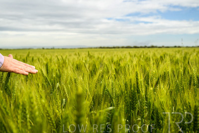 October 2022 / KANGAROO-FLAT-1018