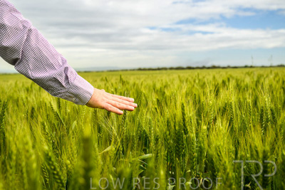 October 2022 / KANGAROO-FLAT-1020