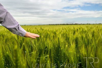 October 2022 / KANGAROO-FLAT-1021