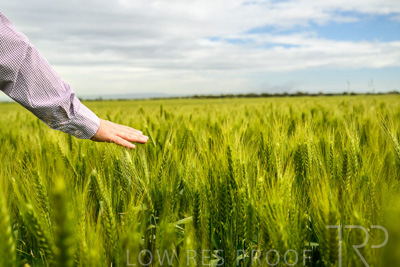 October 2022 / KANGAROO-FLAT-1022