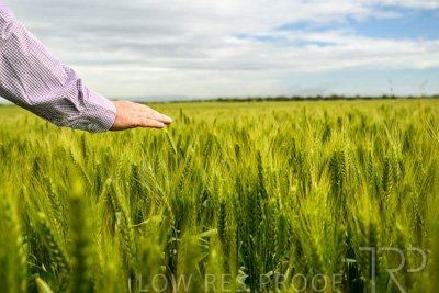 October 2022 / KANGAROO-FLAT-1023