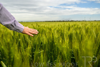 October 2022 / KANGAROO-FLAT-1026