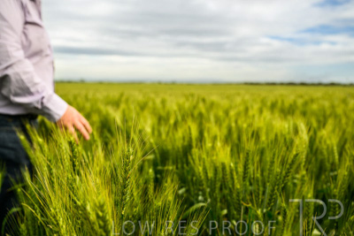 October 2022 / KANGAROO-FLAT-1030