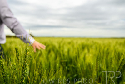 October 2022 / KANGAROO-FLAT-1033