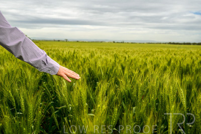 October 2022 / KANGAROO-FLAT-1034