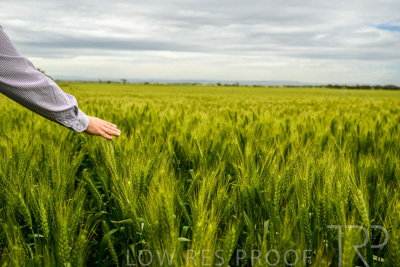 October 2022 / KANGAROO-FLAT-1036