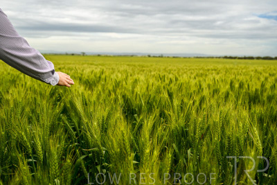 October 2022 / KANGAROO-FLAT-1037