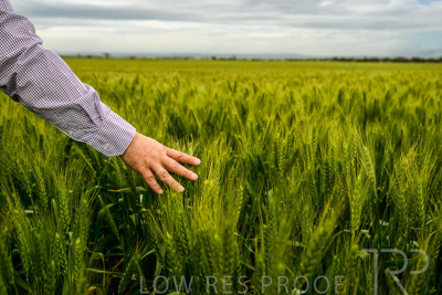 October 2022 / KANGAROO-FLAT-1038