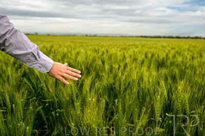 October 2022 / KANGAROO-FLAT-1042