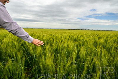 October 2022 / KANGAROO-FLAT-1043