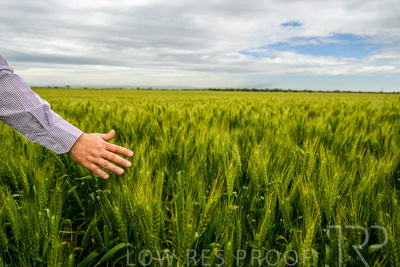 October 2022 / KANGAROO-FLAT-1044