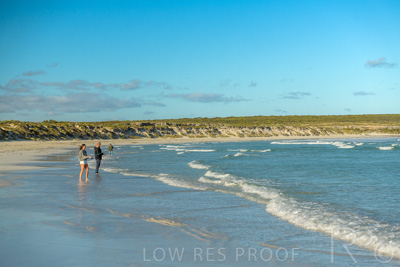 January 2023 / BEACH_230104_016_WebRes