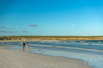 January 2023 / BEACH_230104_031_WebRes