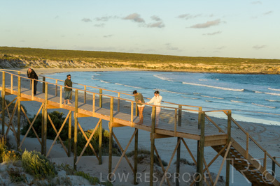 January 2023 / BEACH_230104_433_WebRes