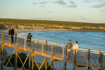 January 2023 / BEACH_230104_438_WebRes