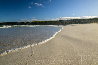 January 2023 / BEACH-SCENES_230104_007_WebRes