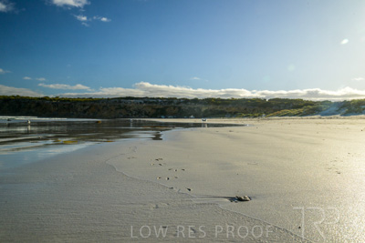 January 2023 / BEACH-SCENES_230104_009_WebRes