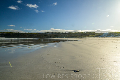 January 2023 / BEACH-SCENES_230104_011_WebRes