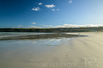 January 2023 / BEACH-SCENES_230104_013_WebRes