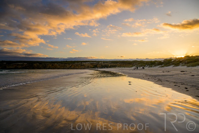 January 2023 / BEACH-SCENES_230104_026_WebRes