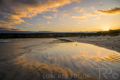 January 2023 / BEACH-SCENES_230104_027_WebRes