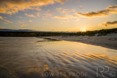 January 2023 / BEACH-SCENES_230104_029_WebRes