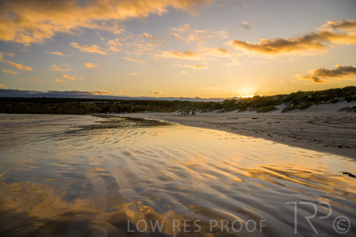 January 2023 / BEACH-SCENES_230104_031_WebRes