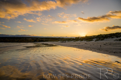 January 2023 / BEACH-SCENES_230104_032_WebRes