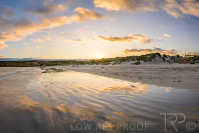 January 2023 / BEACH-SCENES_230104_034_WebRes