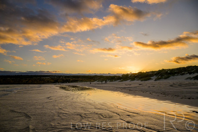 January 2023 / BEACH-SCENES_230104_035_WebRes