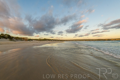 January 2023 / BEACH-SCENES_230104_056_WebRes