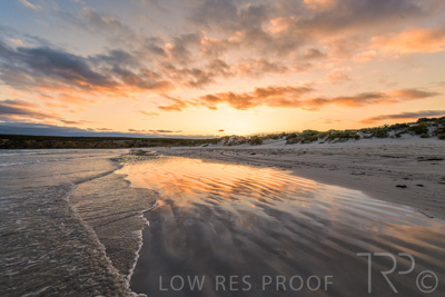 January 2023 / BEACH-SCENES_230104_058_WebRes