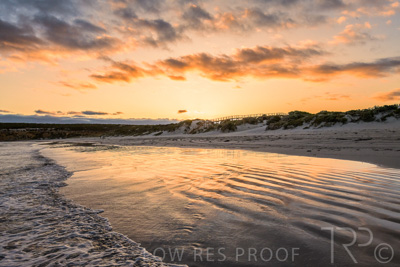 January 2023 / BEACH-SCENES_230104_064_WebRes