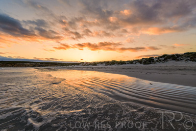 January 2023 / BEACH-SCENES_230104_066_WebRes