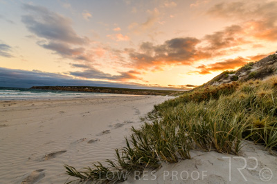 January 2023 / BEACH-SCENES_230104_068_WebRes