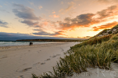 January 2023 / BEACH-SCENES_230104_069_WebRes