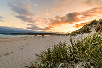 January 2023 / BEACH-SCENES_230104_070_WebRes