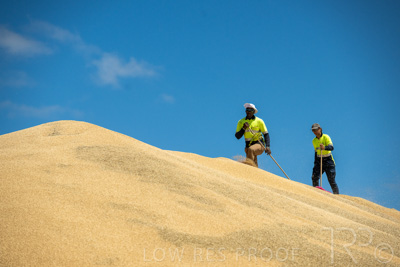 January 2023 / RUDALL_230105_045_WebRes