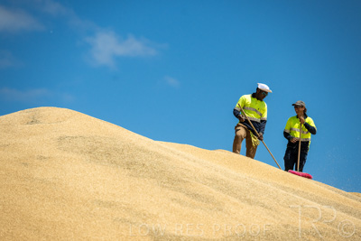 January 2023 / RUDALL_230105_047_WebRes